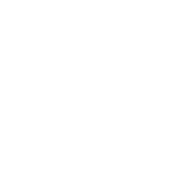 vapezz-high-resolution-logo-transparent (1)